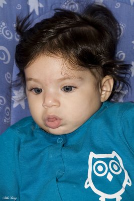 IMG_1550.jpg
