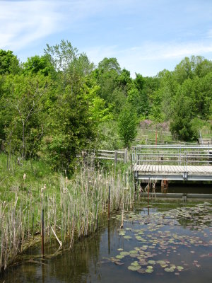 Picture 174.jpg