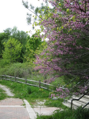 Picture 216.jpg