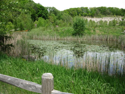 Picture 188.jpg