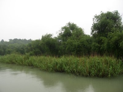 g1/19/54819/3/126302390.YUrFy7n1.jpg