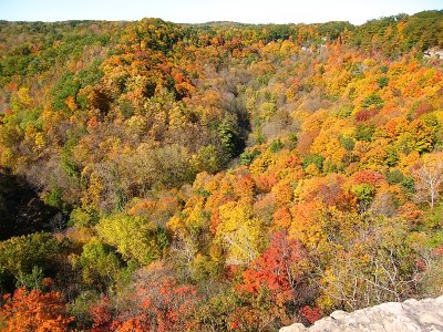 Gorge10.jpg
