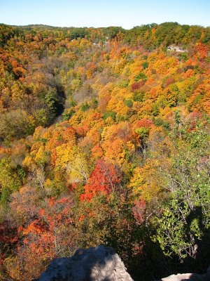 Gorge13.jpg