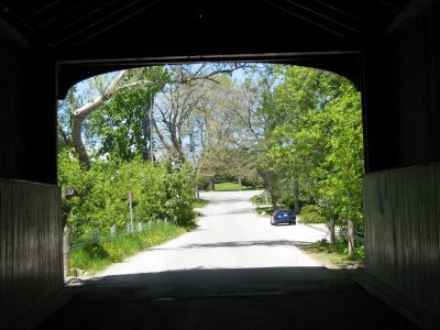 Picture 005.jpg