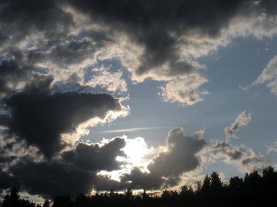 g1/19/573419/3/114650134.D1XoMvK1.jpg