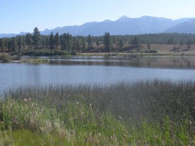 g1/19/573419/3/114660599.rmOYRMLX.jpg