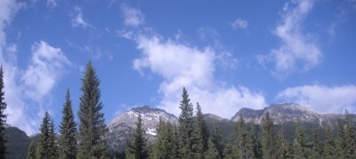 g1/19/573419/3/114660971.64sq6gC9.jpg