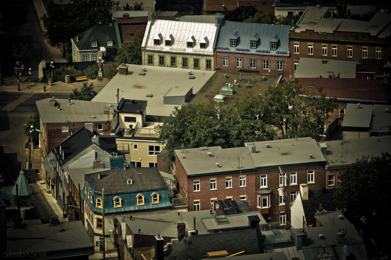 _DSC9239-Edit.jpg
