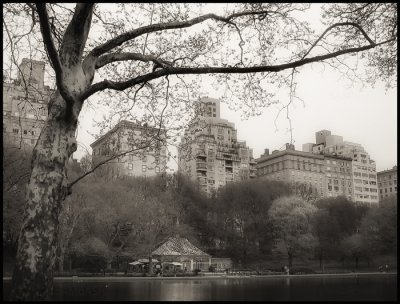 New York - Central Park