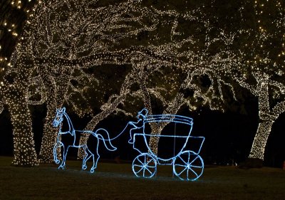 4thPlace A Carriage Ride through the Enchanted Forest by: Waynecam