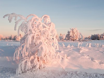 Hoarfrost by Perus