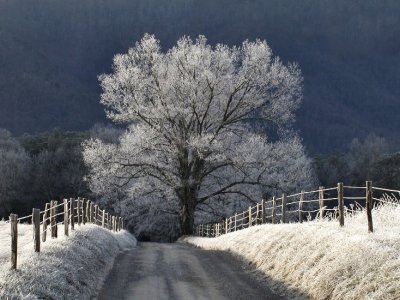 Heavy Frost by RichardR