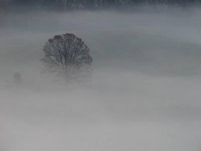 Lost In The Fog by RichardR