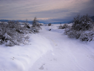 10th PlaceA River Runs Under Itby Sharon Engstrom