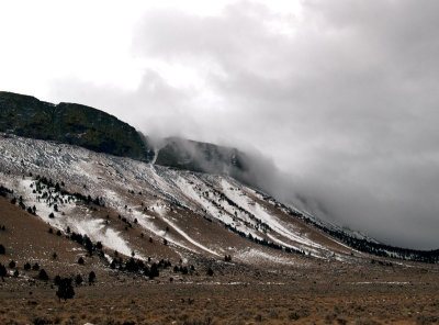 8th PlaceExtreme Weather Creeping Inby KimR