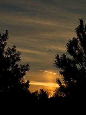 Sun Pillar At Dawnby Judyjo