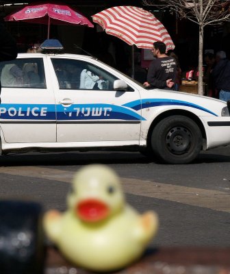 Duck Police Car by SusanG
