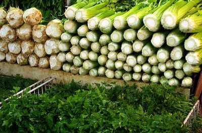 Celery and celery root by Susan G.