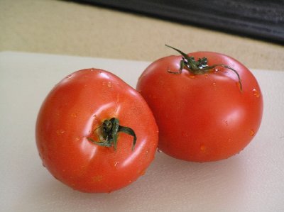 Tomatoes by Susan G.