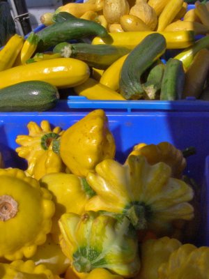 Farmers Market Summer Squash by Lois Ann