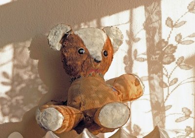 Teddy by Curtain Light  by Steve Grooms