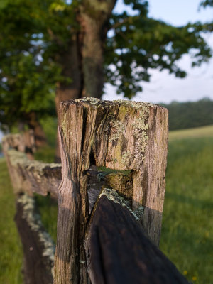 Fencepost by Redsox