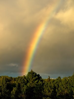 Somewhere Over the Rainbow....<br>By Judyjo