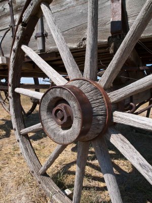 What Goes Around by Bill Huber