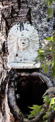 Big Chief Hollow Tree by John Byrne