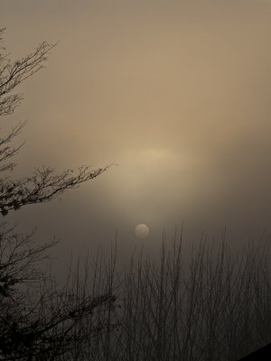 Honorable Mention<br>Misty Sunrise<br>by Lois Ann
