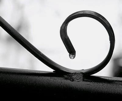 Single Drop by Pat Liu