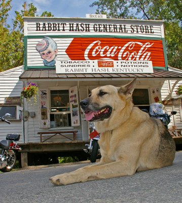 Rabbit Hash, Kentucky