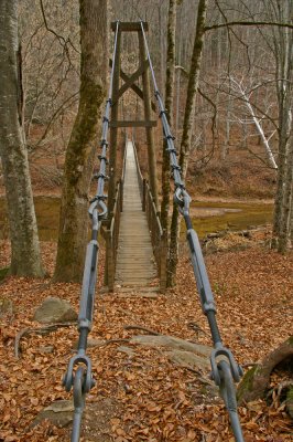 Swinging bridge on the Sheltowee Trace trail .