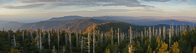 Clingman Dome, pano  2