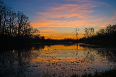 Homestead pond in Scott County at sunset