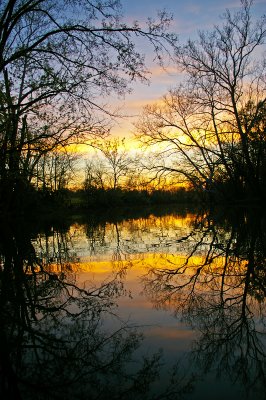 Elkhorn Creek