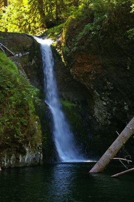 Lower Butte Creek Falls, OR
