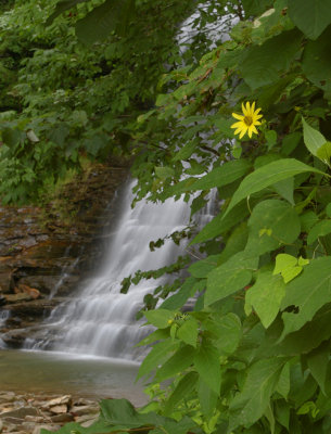 New River Gorge Cathedral Falls, WV