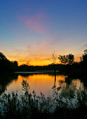  Reflections on and in Elkhorn Creek, Scott County,  Kentucky