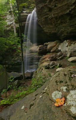 Anglin falls