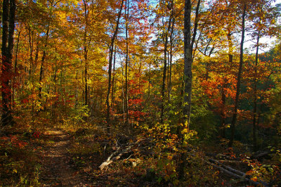 Autumn in the red River Gorge 072p_edited-1.jpg