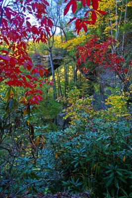 Autumn in the red River Gorge 059p_edited-1.jpg