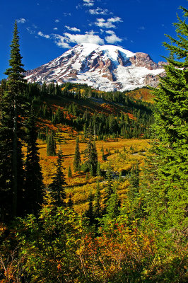 Mt Rainier National park, Washington