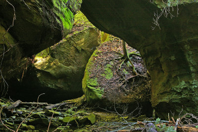 On a side trail by Yahoo Falls