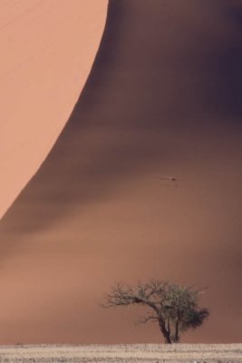 Sossusvlei Namibia Dune