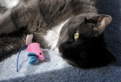 Diego and his mouse