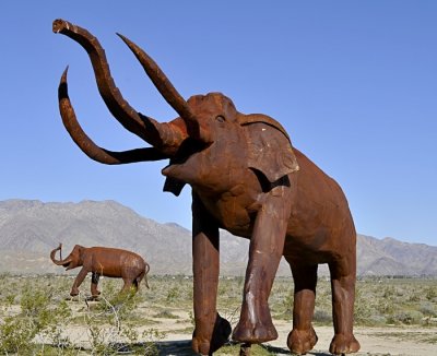 Mammoths