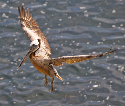 Landing Approach