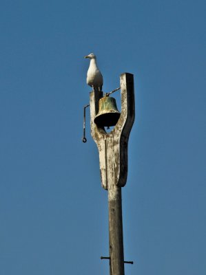 The Guardian of the Guano Bell