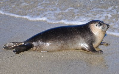 On the Beach